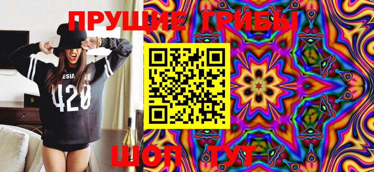 Псилоцибиновые грибы Psilocybine cubensis Ивантеевка